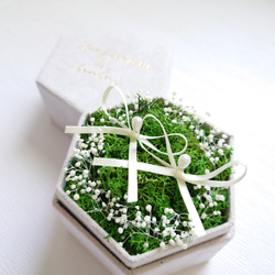 苔moss＆かすみ草babybreath のリングピロー【Box】数量限定・初販5点まで送料無料 4枚目の画像