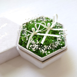 苔moss＆かすみ草babybreath のリングピロー【Box】数量限定・初販5点まで送料無料 6枚目の画像