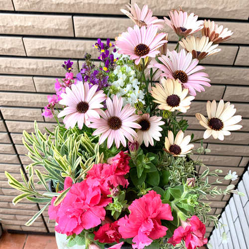 油絵　専用　ペチュニアが咲く寄せ植え　大キャンバス 油絵 専用 ペチュニアが咲く寄せ植え 大キャンバス 油絵 専用