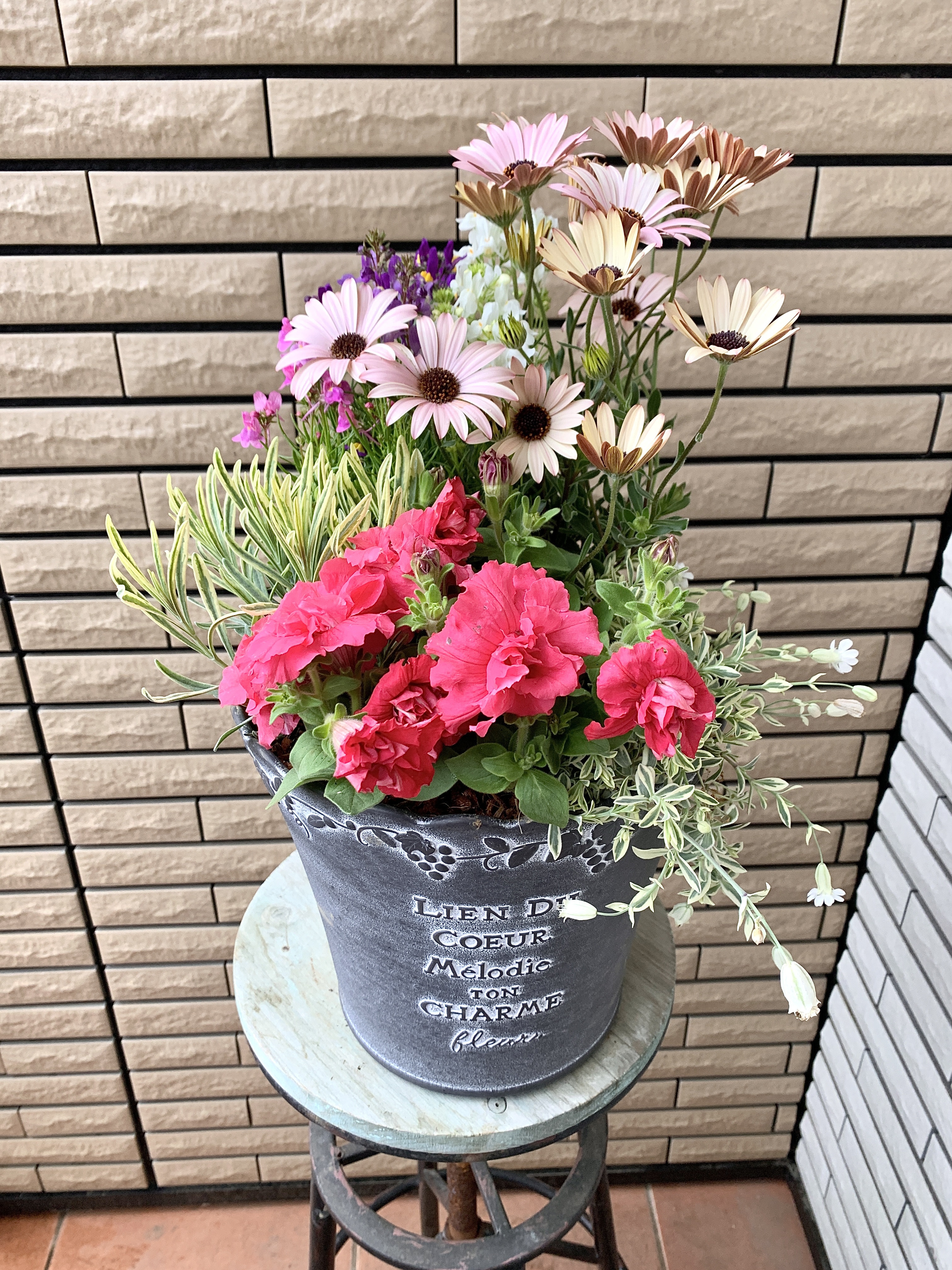 油絵 専用 ペチュニアが咲く寄せ植え 大キャンバス 油絵 専用