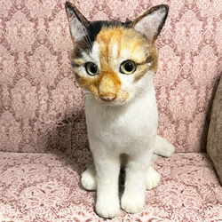 9d6d53fb0687f9c0ccd18eca325cec