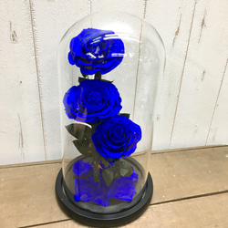 プリザーブドフラワーガラスドーム ローズメリア 3輪ブルー青