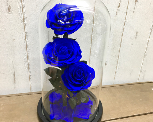 プリザーブドフラワー ダイヤモンドローズドーム ブルー ダイヤモンド