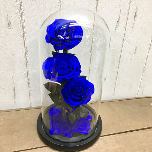 プリザーブドフラワー　ガラスドーム　 ローズメリア 3輪　ブルー　青 プリザーブドフラワー ガラスドーム ローズメリア 3輪 ブルー その他