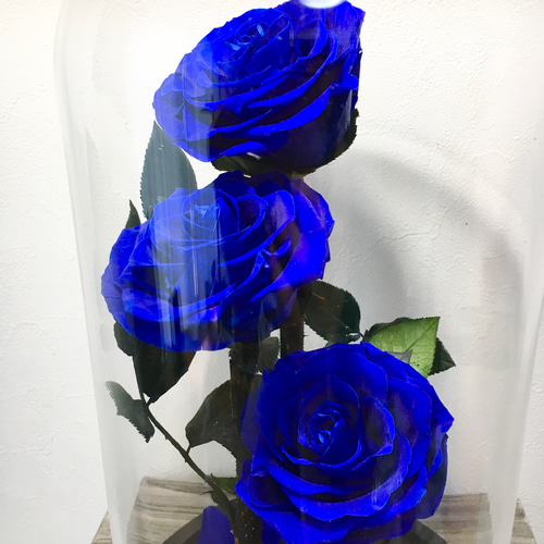 プリザーブドフラワー　ガラスドーム　 ローズメリア 3輪　ブルー　青 プリザーブドフラワーガラスドーム ローズメリア 3輪ブルー青