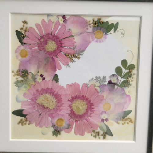 ピンクのガーベラ 押し花額~母の日にも~ リース 真蓮花工房 通販