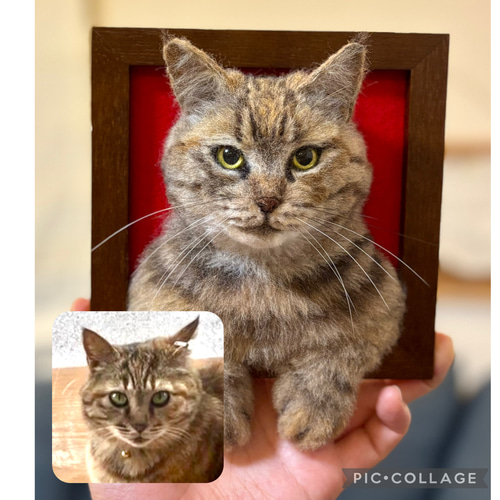 koneri 羊毛フェルト フレーム猫 のオーダー 羊毛フェルト koneri 羊毛