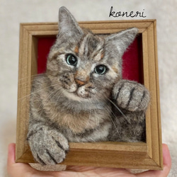 koneri 羊毛フェルト フレーム猫 のオーダー 8枚目の画像