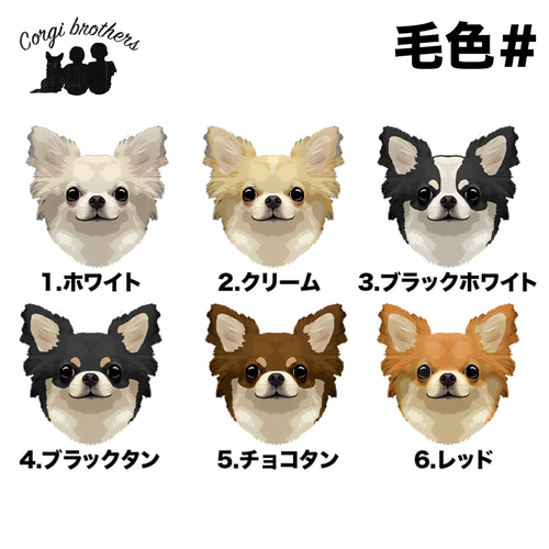 犬 チワワ キャンパス 最近🐕 フライングディスクがお気に入り🥏 * 📷Photo by Erika