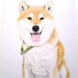 リアル色鉛筆画【原画】NO.3 犬の絵 2枚目の画像