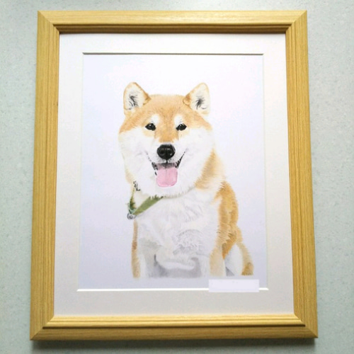 リアル色鉛筆画【原画】NO.3 犬の絵 絵画 鳳雛色鉛筆画家 通販 リアル色鉛筆画【原画】NO.3 犬の絵 絵画 鳳雛色鉛筆画家 通販