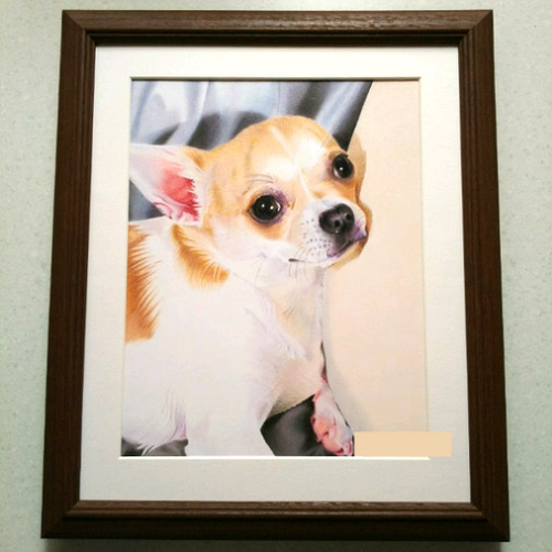 リアル色鉛筆画【原画】NO.4 犬の絵 絵画 鳳雛色鉛筆画家 通販 リアル色鉛筆画【原画】NO.4 犬の絵 絵画 鳳雛色鉛筆画家 通販