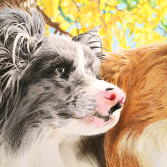 リアル色鉛筆画【原画】NO.5 犬の絵 絵画 鳳雛色鉛筆画家 通販 リアル色鉛筆画【原画】NO.5 犬の絵 絵画 鳳雛色鉛筆画家 通販