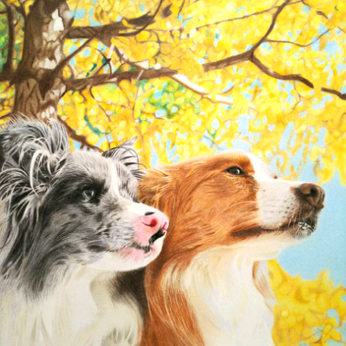 リアル色鉛筆画【原画】NO.5 犬の絵 絵画 鳳雛色鉛筆画家 通販 リアル色鉛筆画【原画】NO.5 犬の絵 絵画 鳳雛色鉛筆画家 通販