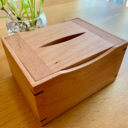 専用出品　ティッシュケース(モチーフ×1 ムジ×1) 41ejsCuDFoL.jpg_BO30,255,255,