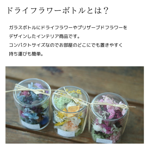 選べる3色 サイズ3種 ドライフラワーガラスボトル プリザーブド