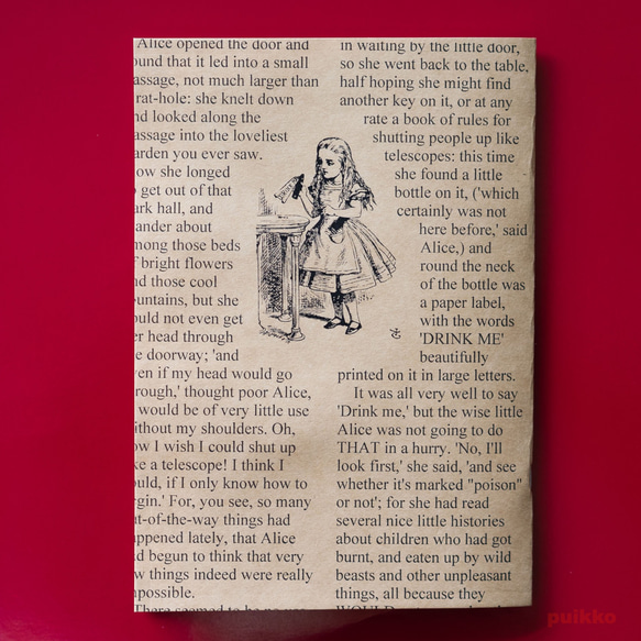 《愛麗絲夢遊仙境》筆記本（A5款） 第2張的照片