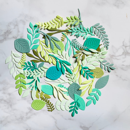 クラフトパンチ ダイカット 葉 リーフ 色々セット 50枚入 グリーン系