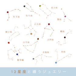 セミオーダメイド【選べる12色】✴︎ 星座のピアス/イヤリング ✴︎ 上品に輝く自分だけの魅力をupさせるジュエリー 3枚目の画像