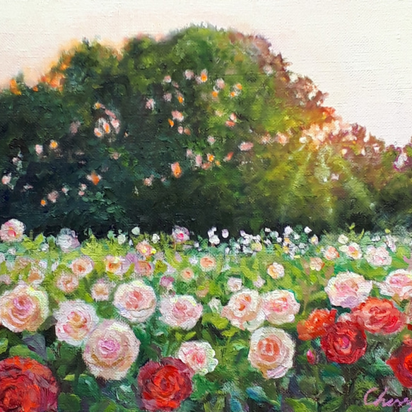 夕暮れのバラ園 絵画 チェリー Cherry 通販 15732390｜Creema