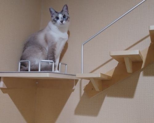 33b0eaf0e7e20b049d3e87585beb21