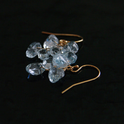 fusa : Aquamarine（earring） アクアマリンの小さな房の耳飾り 6枚目の画像