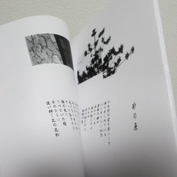 BOLT ZINE「明彩」（写真詩集） 4枚目の画像