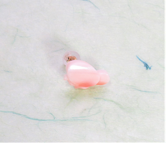 宝石珊瑚　さんご　アクセサリ－・ジュエリ－  イヤリングノンホールピアス cw-724 3枚目の画像