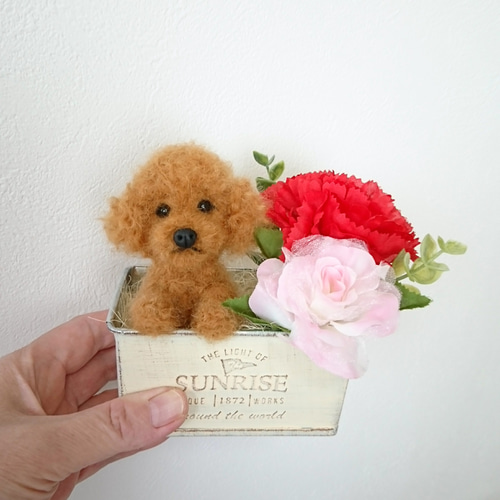 羊毛フェルト 犬 トイプードル ☆母の日ギフト☆ アレンジメント 羊毛 