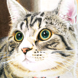 リアル色鉛筆画【原画】NO.6 猫 手描き 1枚目の画像