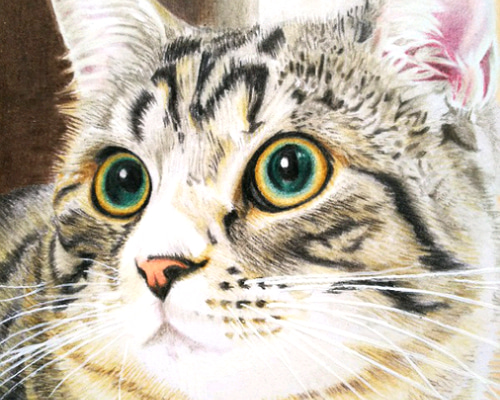 #69 原画 猫 RUBI デザイン画