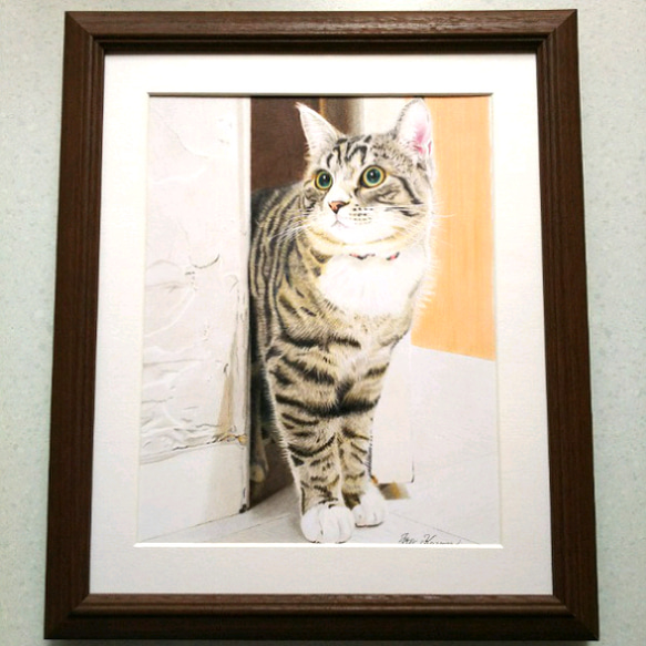 リアル色鉛筆画【原画】NO.6 猫 手描き mm 原画