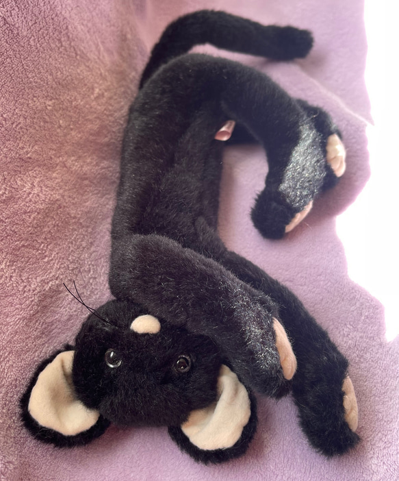 黒猫のぬいぐるみ 3枚目の画像