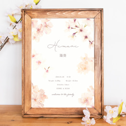桜の花の水彩イラスト 命名書  名入れ オーダー ベビーポスター 1枚目の画像