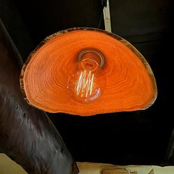 生木の栗のペンダントライト皮付き 4枚目の画像