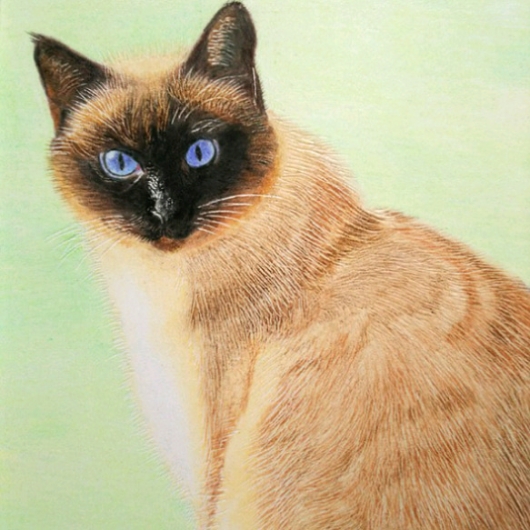 色鉛筆画A4仔猫 激安大特価！】 色鉛筆画 A4.仔猫2 絵画 - 絵画
