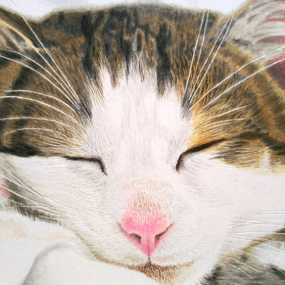 リアル色鉛筆画【原画】NO.8 猫の絵 手描き 2枚目の画像