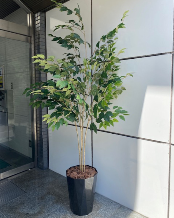 フェイクグリーン 鉢 ホワイト