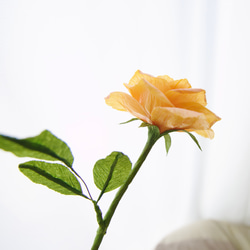 【本物みたいな紙のお花】薔薇の蜜蝋ペーパーフラワー　ギフト インテリア 癒し 4枚目の画像