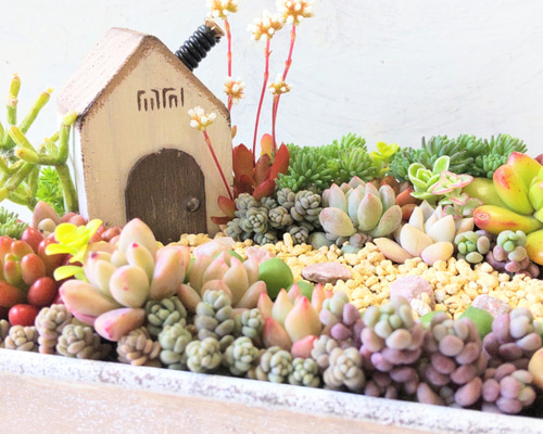 7195df7b05dcdc48c8b8f8ba0673c7