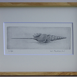 貝殻・2023A/銅版画 (額あり） 1枚目の画像