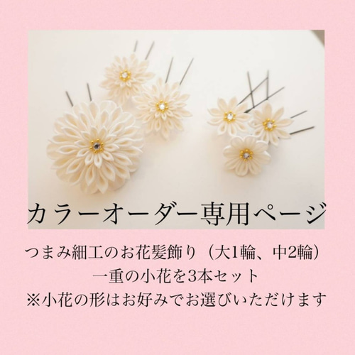 ころんと日和＊オーダーページ＊生地ページC 【公式通販】