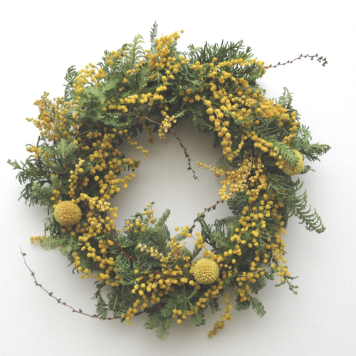 受注制作ミモザリース ミモザリース＊受注制作 ドライフラワー canvas|カンバス 通販