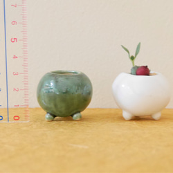 【小さな植木鉢 小 丸・翡翠色】陶器 小さい 春 贈り物 植物 高さ3cm 緑 盆栽 多肉植物 新色新柄 8枚目の画像