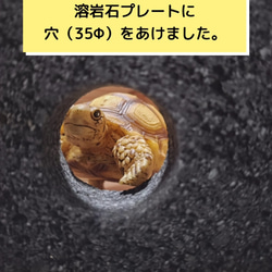 溶岩石プレート大 1枚、小 2枚】の1セット 爬虫類の 隠れ家 バス