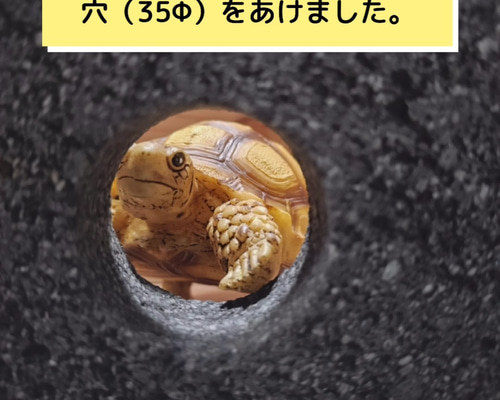 b8473ccc349f3aed89b837be32e22f