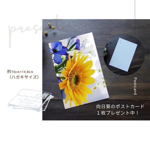 受注制作】【原画】風に揺れるミモザ 約180×180mm（S0サイズ