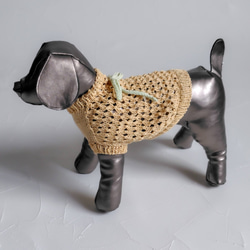犬服 セーター のおすすめ人気通販 検索結果｜Creema(クリーマ 