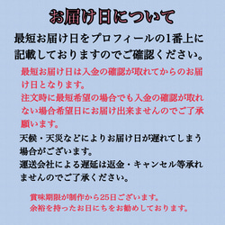 母の日ギフト　カーネーションのアイシングクッキーブーケ 5枚目の画像