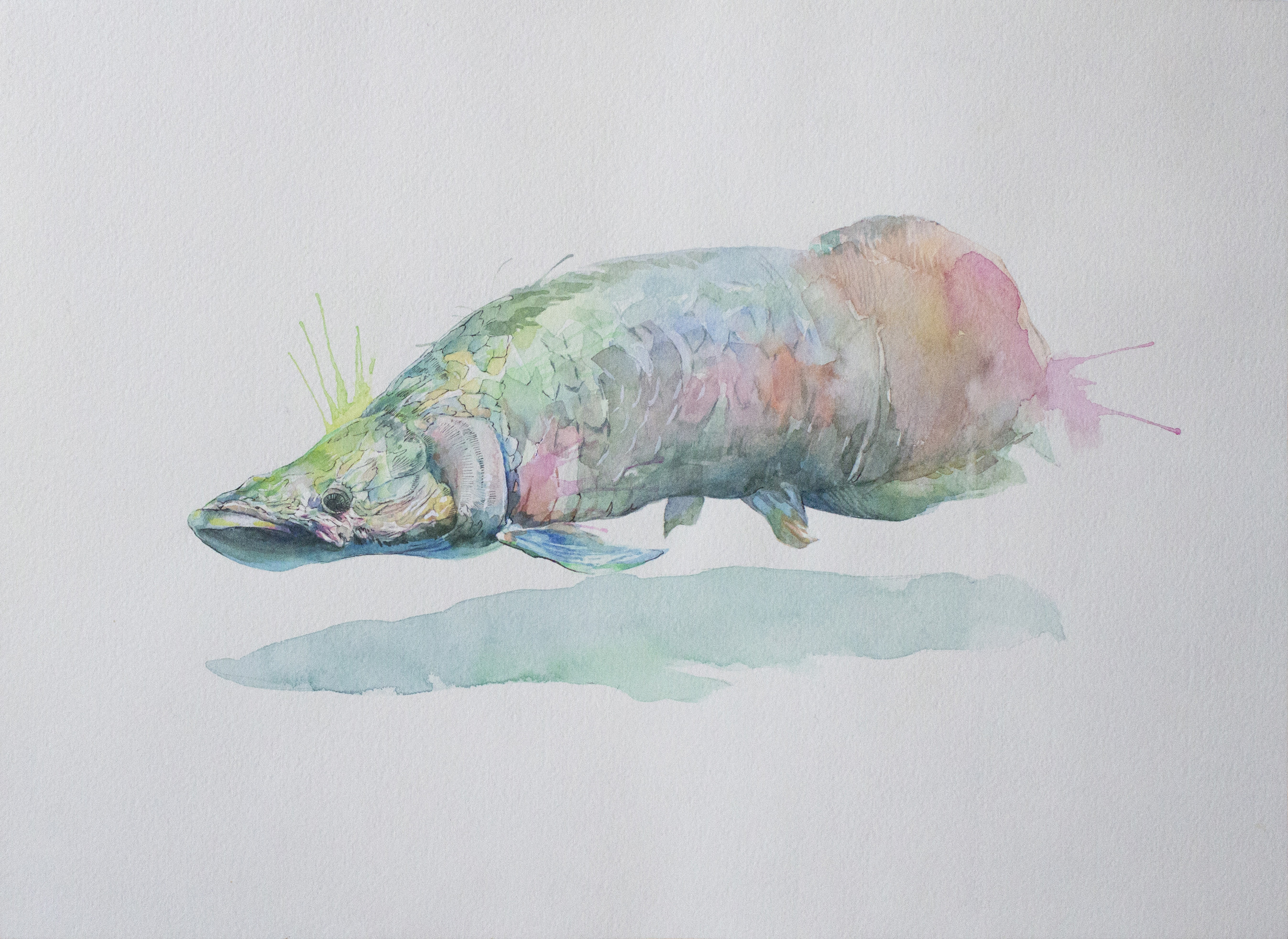 透明水彩画原画「ミモザの小径」額縁付F4サイズ風景画